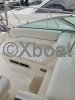Technical sheet SEA RAY 250 SUNDANCER
