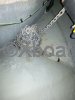 Technical sheet SEA RAY 250 SUNDANCER