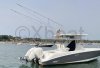 Used Motorboat BOSTON WHALER 320 OUTRAGE