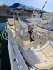 Used Motorboat WHITE SHARK 285