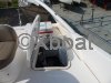 Technical sheet FAIRLINE SQUADRON 55