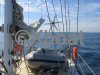 Technical sheet GALLIAN 184