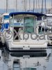 Technical sheet MERRY FISHER 655