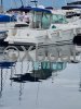 Technical sheet MERRY FISHER 655