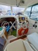 Technical sheet MERRY FISHER 655