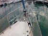 Technical sheet OCEANIS 411