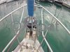 Technical sheet OCEANIS 411