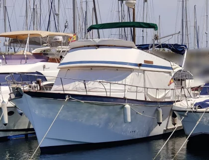 Used Motorboat TRAWLER 42 