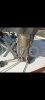 Used sailboat CONTESSA 35