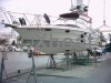 Technical sheet BAYLINER AVANTI