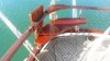 Used sailboat NAUTICAT 33