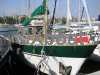 Technical sheet DARTSAILER 38