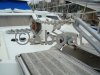 Technical sheet PRINCESS 41
