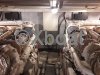 Technical sheet POSILLIPO 55