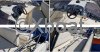Technical sheet SEALINE 305 STATESMAN