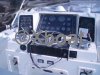 Technical sheet BERTRAM 54