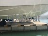 Technical sheet SUNSEEKER SUPERHAWK 50