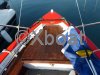 Technical sheet POINTU BARQUE MARSEILLAISE