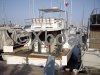 Technical sheet SAILFISH 37