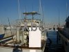 Technical sheet SAILFISH 37