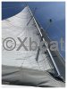 Technical sheet OCEANIS 43