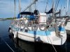 Technical sheet WAUQUIEZ AMPHITRITE MS 45 CC