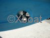 Technical sheet ARCOA 975