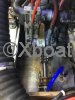 Technical sheet RODMAN 30 FLY