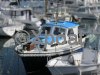 Technical sheet MITCHELL 31 MK1