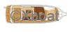 Technical sheet NIMBUS 365 COUPE