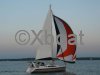 Technical sheet OVNI 445
