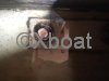 Technical sheet SUN ODYSSEY 49