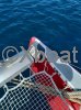 Technical sheet OCEAN VOYAGER 53