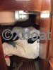 Technical sheet NAUDAR 40