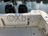 Technical sheet BOSTON WHALER 315 CONQUEST