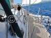 Technical sheet SIRENA 40 PEDRICK