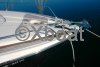 Technical sheet NUMARINE 55 HARD TOP