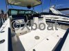 Technical sheet TIARA 3100 OPEN FISHING
