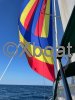 Technical sheet OCEANIS 36 CC