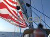 Technical sheet VIOLATI 60 CUTTER