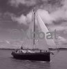 Technical sheet NOMADE (COTRE FRANC)