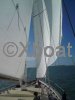 Technical sheet NOMADE (COTRE FRANC)