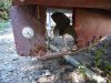 Used Motorboat RHEA 800 TIMONIER