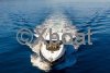 Technical sheet SUNSEEKER PREDATOR 74