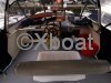 Technical sheet VEDETTE HOLLANDAISE JACABO 42