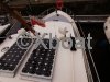Technical sheet VEDETTE HOLLANDAISE JACABO 42