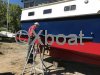 Technical sheet VEDETTE HOLLANDAISE JACABO 42