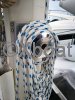 Technical sheet WAUQUIEZ AMPHORA