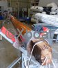 Technical sheet COTRE AURIQUE AVEL ABENN