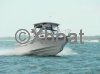 Technical sheet GRADY WHITE SEAFARER 226